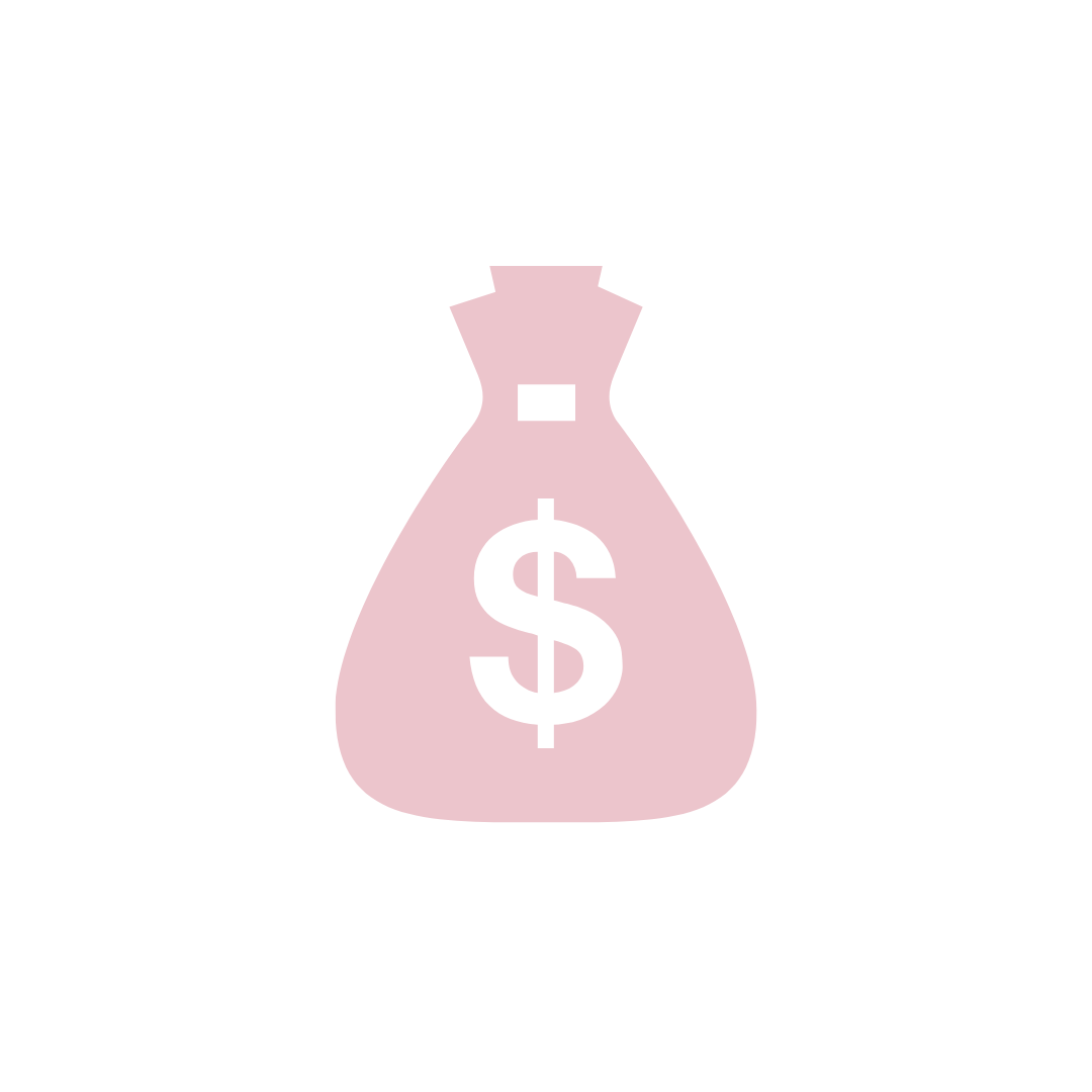 Bag with money sign in pink